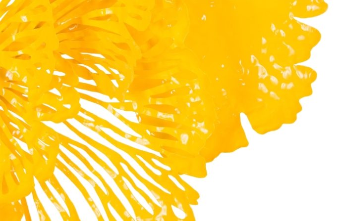 medium-yellow-flower-wall-art_parnian_furniture