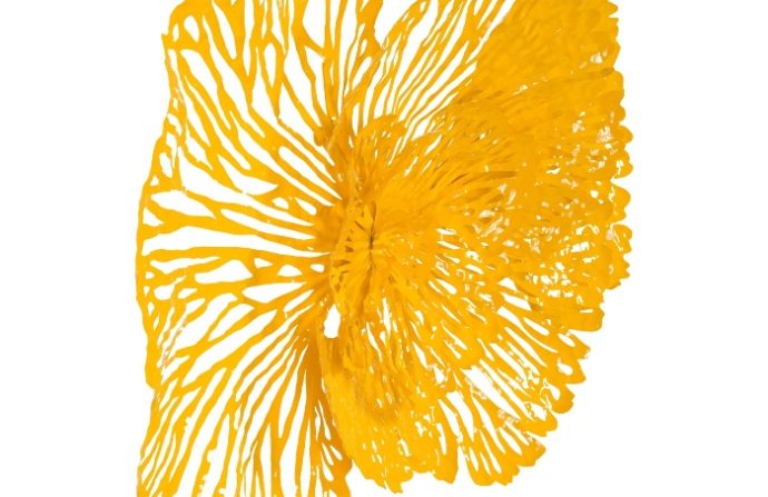 medium-yellow-flower-wall-art_parnian_furniture